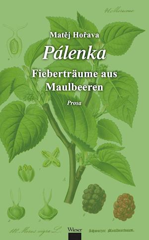 Cover for Matej Horava · Palenka (Book)