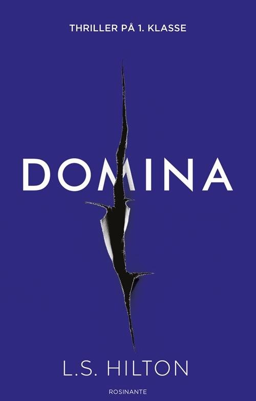 Maestra-trilogien: Domina - L S Hilton - Kirjat - Rosinante - 9788763845854 - perjantai 9. kesäkuuta 2017