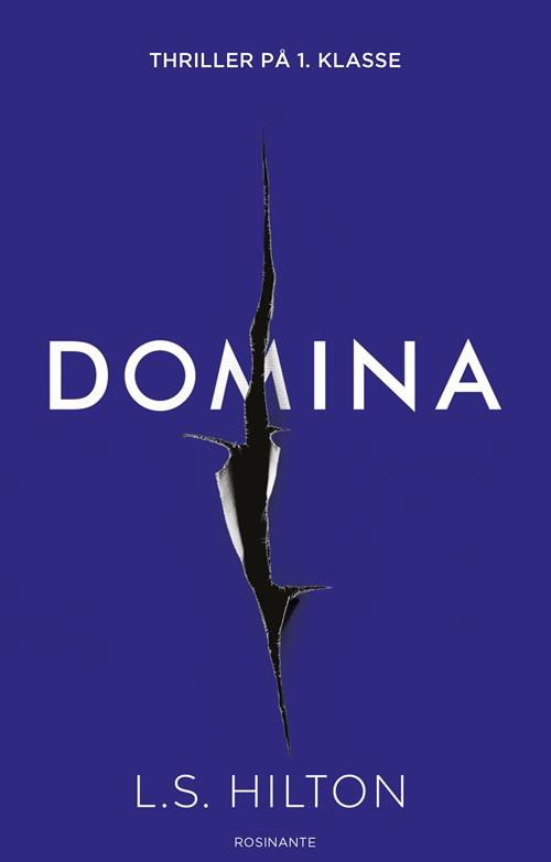 Maestra-trilogien: Domina - L S Hilton - Bøger - Rosinante - 9788763845854 - 9. juni 2017
