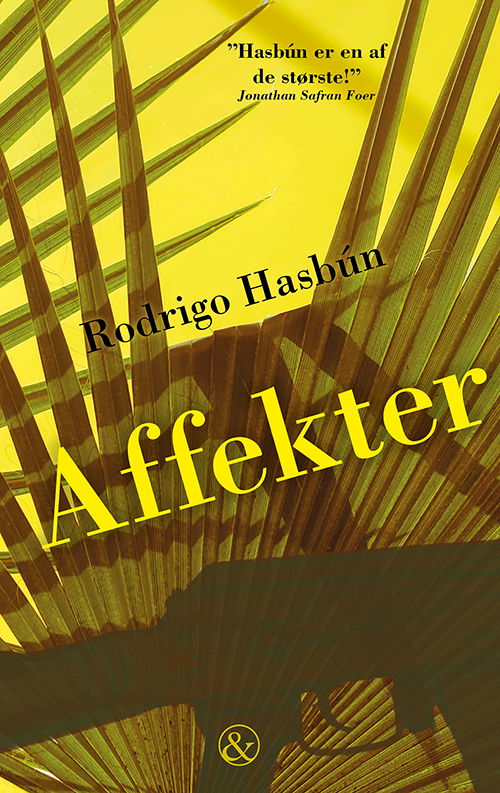 Cover for Rodrigo Hasbún · Affekter (Hæftet bog) [1. udgave] (2018)