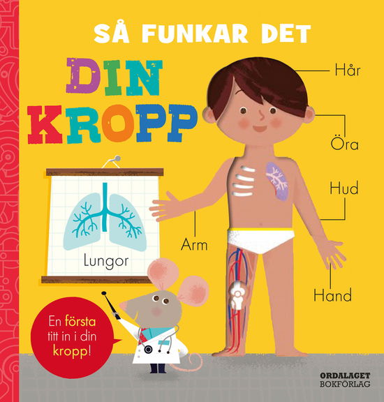 Cover for Amelia Hepworth · Så funkar det: Din kropp (Kartongbok) (2024)