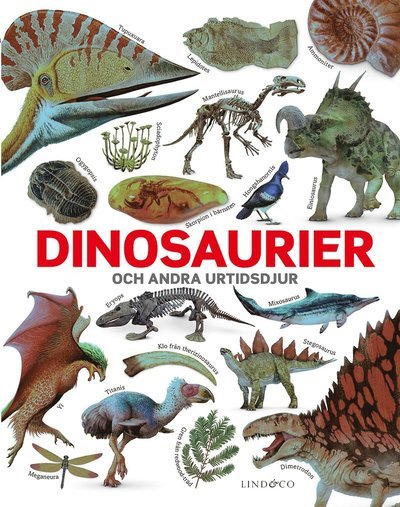 Cover for John Woodward · Dinosaurier och andra urtidsdjur (Indbundet Bog) (2019)