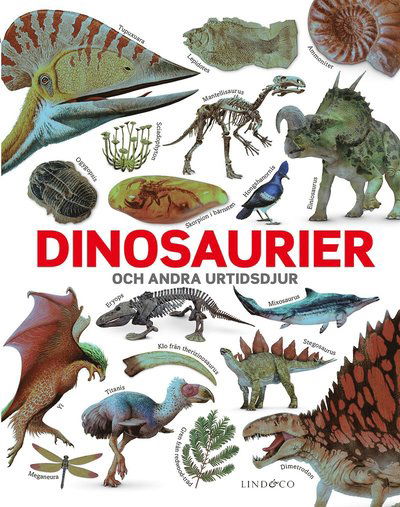 Cover for John Woodward · Dinosaurier och andra urtidsdjur (Bound Book) (2019)