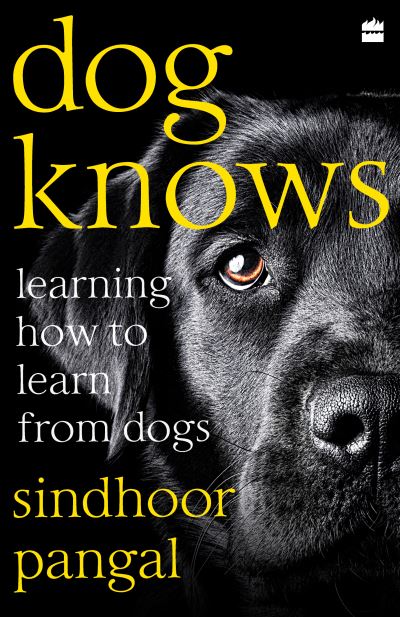 Cover for Sindhoor Pangal · Dog Knows: Learning How to Learn from Dogs (Paperback Book) (2021)