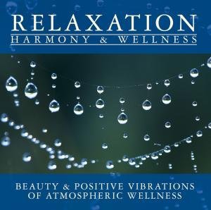 Atmospheric Wellness - New Age - Musikk - RELAXATION - 0090204814855 - 2. april 2009