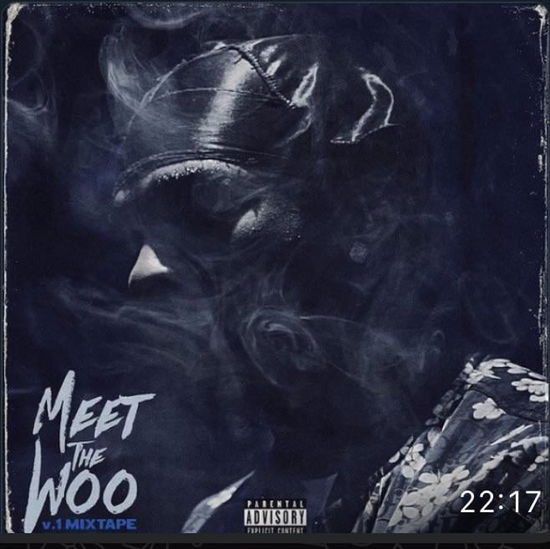 Cover for Pop Smoke · Meet The Woo (LP) (2024)