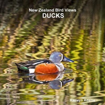 Cover for Raewyn Adams · New Zealand Bird Views: Ducks (Paperback Book) (2015)