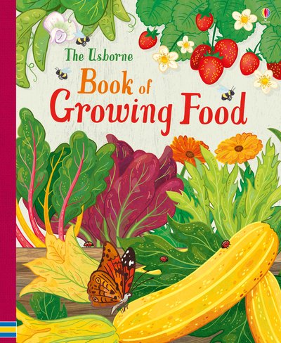Cover for Abigail Wheatley · Usborne book of Growing Food (Spiralbog) (2017)