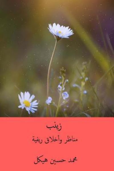 Cover for Muhammad Husayn Haykal · Zaynab (Paperback Book) (2018)