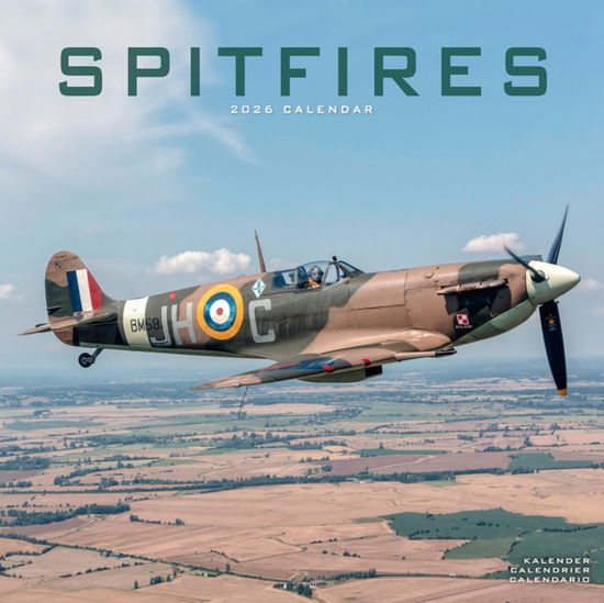 Spitfires Calendar 2026 Square Plane Wall Calendar - 16 Month - - Produtos - Avonside Publishing Ltd - 9781804607855 - 18 de agosto de 2025