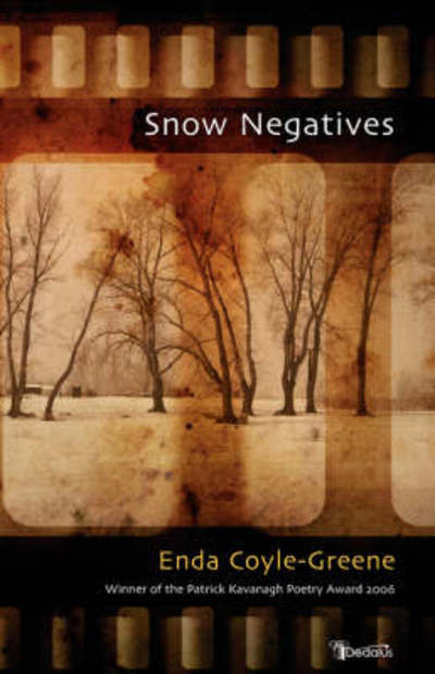 Snow Negatives - Enda Coyle-Greene - Books - Dedalus Press - 9781904556855 - November 21, 2007