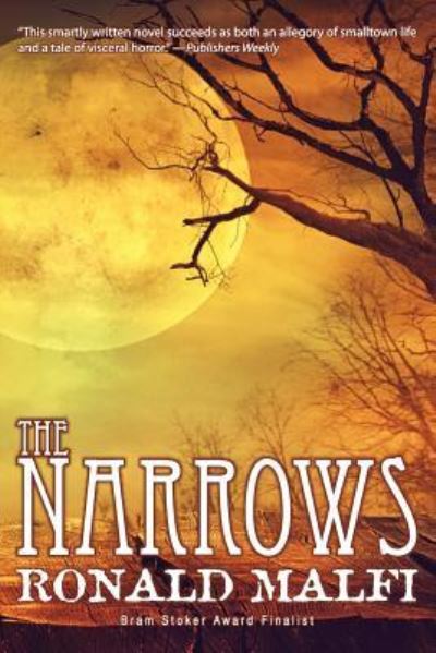 The Narrows - Ronald Malfi - Książki - JournalStone - 9781945373855 - 28 kwietnia 2017