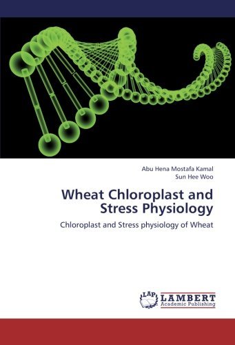 Cover for Sun Hee Woo · Wheat Chloroplast and Stress Physiology: Chloroplast and Stress Physiology of Wheat (Paperback Book) (2012)