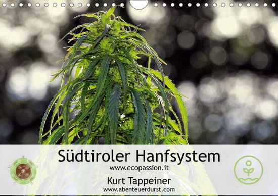 Cover for Tappeiner · Südtiroler Hanfsystem (Wandka (Book)