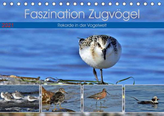 Cover for Schaack · Faszination Zugvögel - Rekorde (Buch)