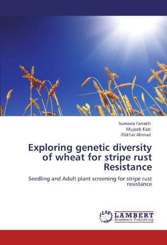 Cover for Iftikhar Ahmad · Exploring Genetic Diversity of Wheat for Stripe Rust Resistance: Seedling and Adult Plant Screening for Stripe Rust Resistance (Paperback Bog) (2011)