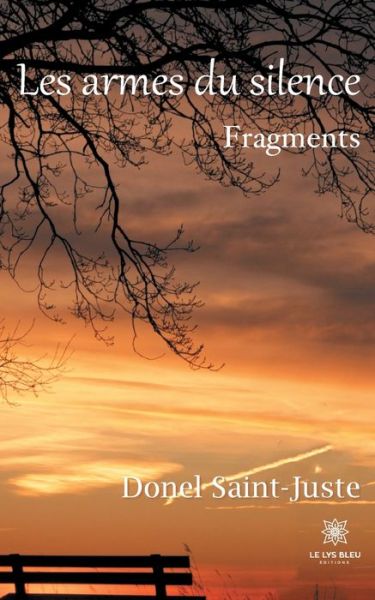 Cover for Donel Saint-Juste · Les armes du silence: Fragments (Paperback Book) (2021)