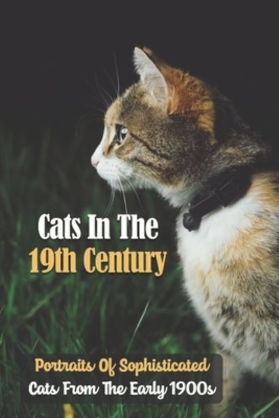 Cover for Tiny Strakbein · Cats In The 19th Century (Paperback Book) (2021)