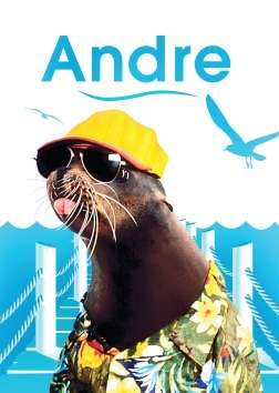 Cover for Andre (DVD) (2018)