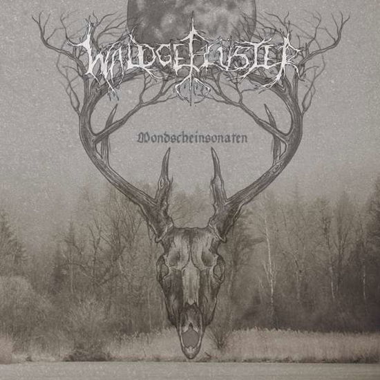 Cover for Waldgeflüster · Mondscheinsonaten (CD) (2024)