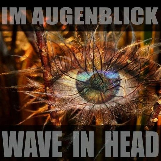 Cover for Wave in Head · Im Augenblick (CD) (2013)