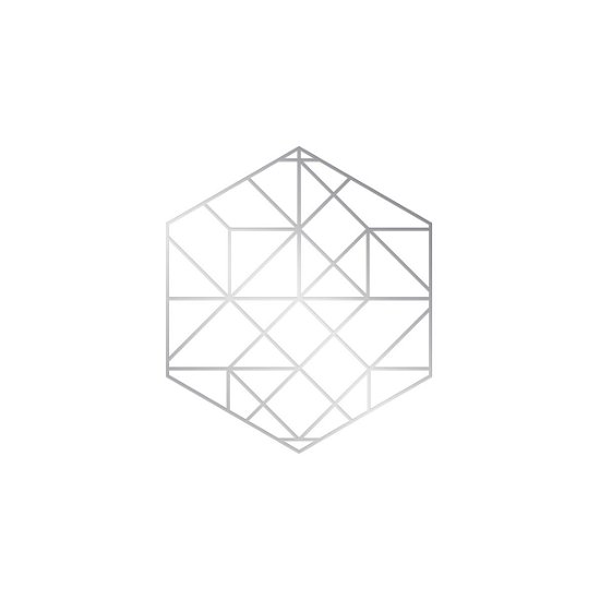 Cover for Ricardo Donoso · Symmetry (LP) [Box set] (2015)