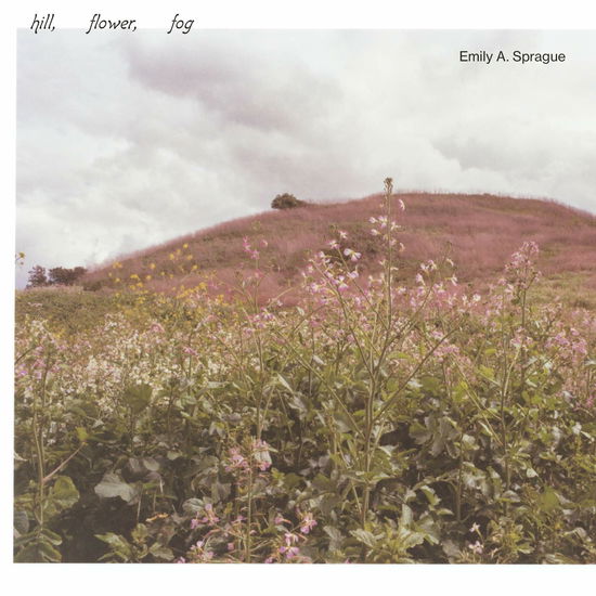 Cover for Emily A. Sprague · Hill, Flower, Fog (LP) [Japan Import edition] (2020)