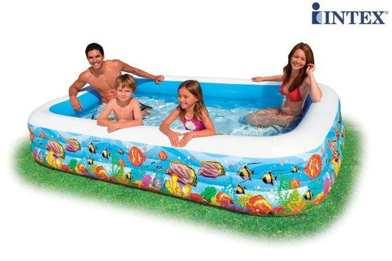 Cover for Intex · Sealife Swim Center 3.05mx1.83mx56cm (58485) (Toys)