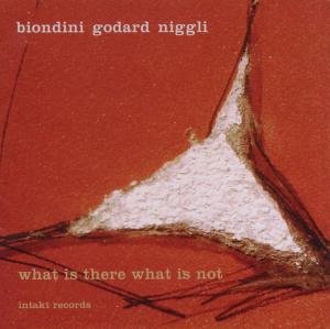 Cover for Biondini / Godard / Niggli · What Is There What Is Not (CD) (2017)
