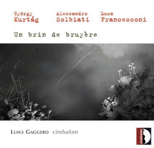 Cover for Gaggero / Moretti / La Fauci · Music for Cimbalom (CD) (2008)