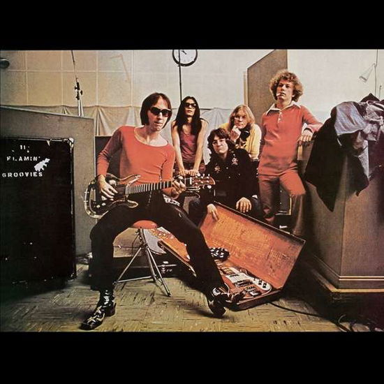 Teenage Head - Flamin' Groovies - Música - POP/ROCK - 8435395501856 - 18 de janeiro de 2019