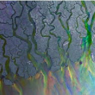 Cover for Alt · J-an Awesome Wave (CD) [Limited edition]