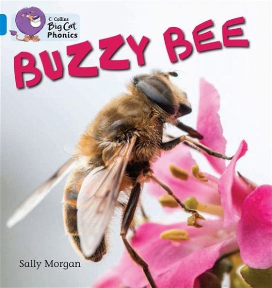 Buzzy Bees: Band 04/Blue - Collins Big Cat Phonics - Sally Morgan - Boeken - HarperCollins Publishers - 9780007507856 - 3 januari 2013