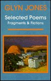 Cover for Glyn Jones · Selected Poems: Fragments and Fictions (Taschenbuch) (1995)