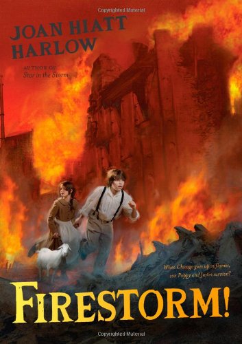 Cover for Joan Hiatt Harlow · Firestorm! (Hardcover Book) (2010)