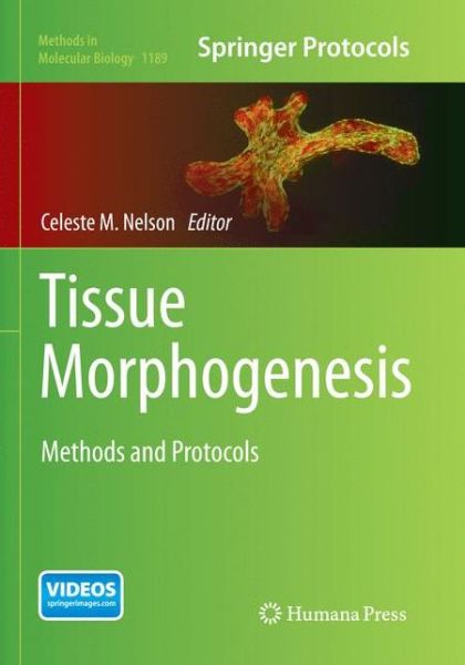 Cover for Tissue Morphogenesis (Book) [Softcover reprint of the original 1st ed. 2015 edition] (2017)