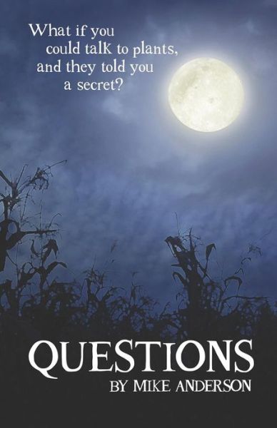 Questions - Mike Anderson - Books - Booklocker.com, Inc. - 9781621418856 - December 1, 2012
