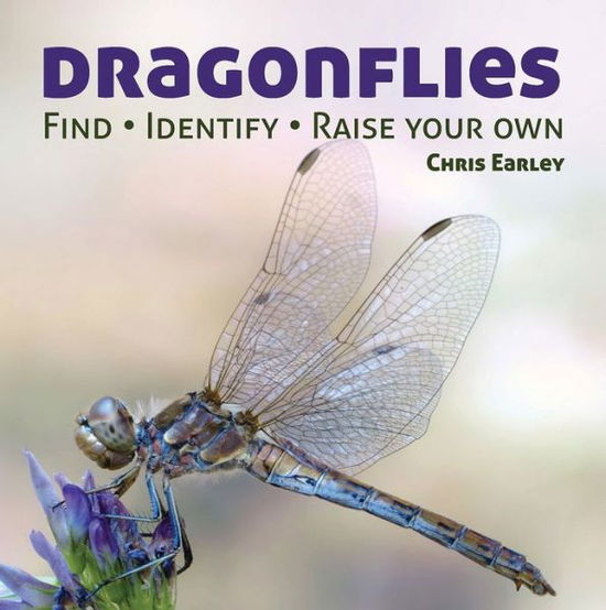 Dragonflies: Hunting - Identifying - How and Where They Live - Chris Earley - Książki - Firefly Books Ltd - 9781770851856 - 25 kwietnia 2013