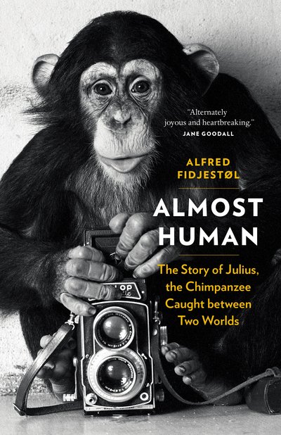 Cover for Alfred Fidjestl · Almost Human: The Story of Julius, the Chimpanzee Caught between Two Worlds (Hardcover Book) (2019)