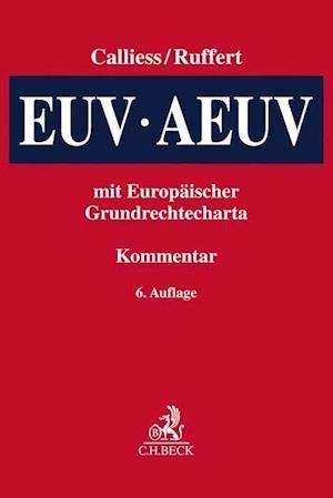 Cover for Christian Calliess · Euv / Aeuv (Hardcover Book) (2021)