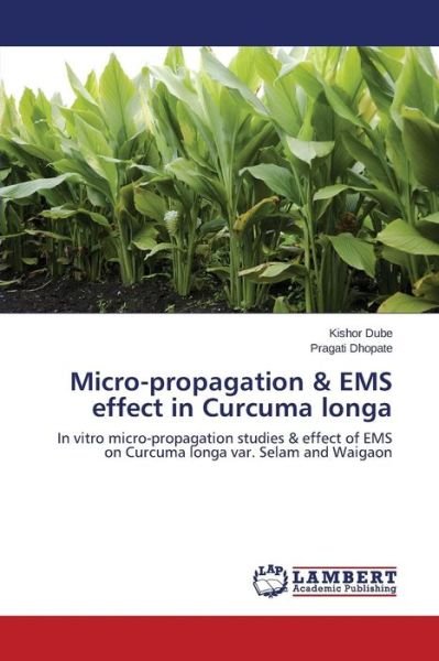Cover for Dube Kishor · Micro-propagation &amp; Ems Effect in Curcuma Longa (Taschenbuch) (2015)