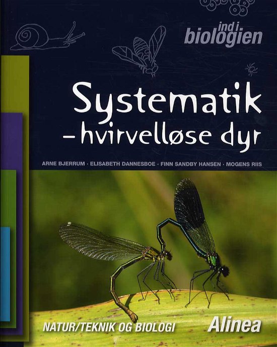 Cover for Elisabeth Dannesboe, Arne Bjerrum, Mogens Riis, Finn Sandby Hansen · Ind i biologien: Ind i biologien 4.-6. kl. Systematik, Hvirvelløse dyr (Sewn Spine Book) [1er édition] (2013)