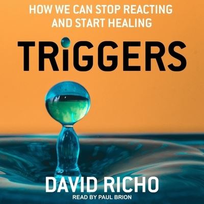 Cover for David Richo · Triggers (CD) (2020)