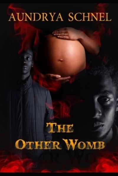 Cover for Aundrya Schnel · The Other Womb (Paperback Book) (2022)