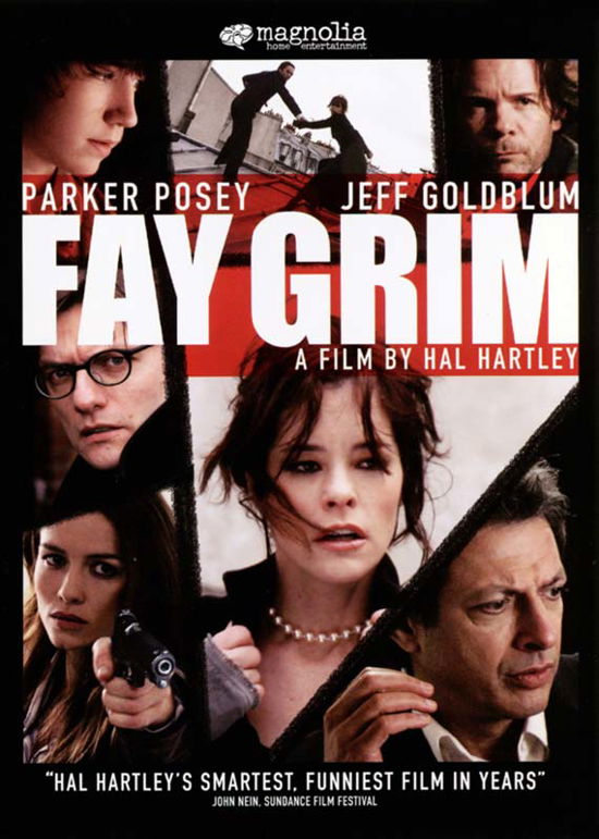 Cover for Fay Grim DVD (DVD) (2007)