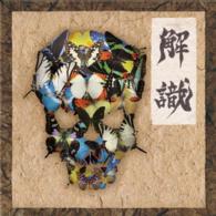 Cover for Gargoyle · Geshiki (CD) [Japan Import edition] (2014)