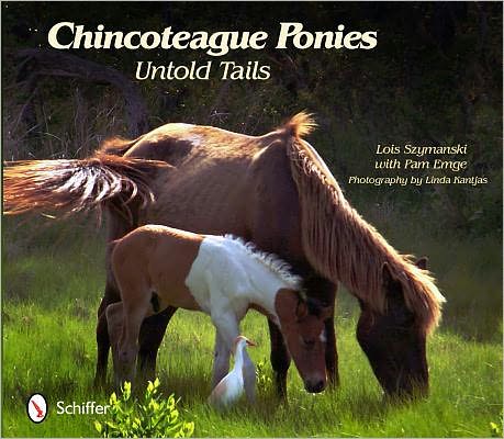 Cover for Lois Szymanski · Chincoteague Ponies: Untold Tails (Paperback Book) (2012)