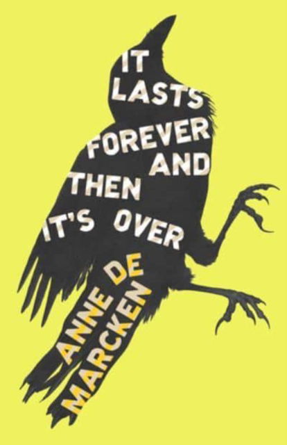 Cover for Anne De Marcken · It Lasts Forever and Then It's over (Paperback Book) (2024)