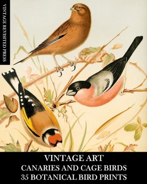 Vintage Revisited Press · Vintage Art (Paperback Book) (2024)