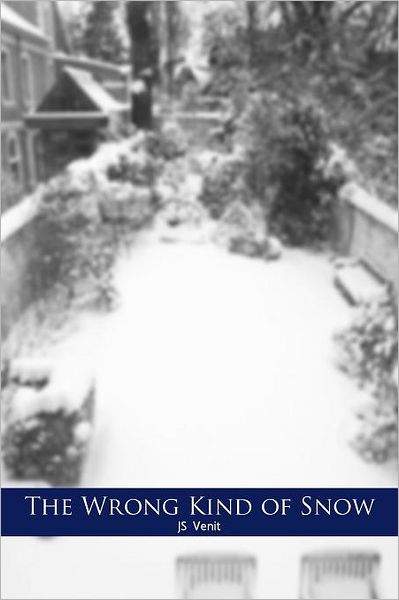 The Wrong Kind of Snow - Js Venit - Books - Xlibris, Corp. - 9781469150857 - January 23, 2012